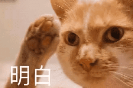 飞机杯保护粉是什么？保护粉怎么用才对？一篇带你全面了解飞机杯保护粉