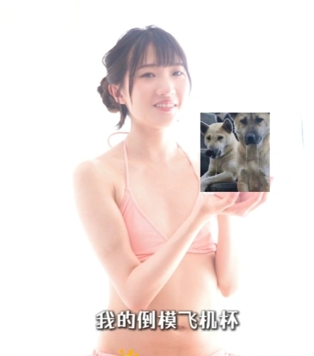 喜欢铃音麻友吗？