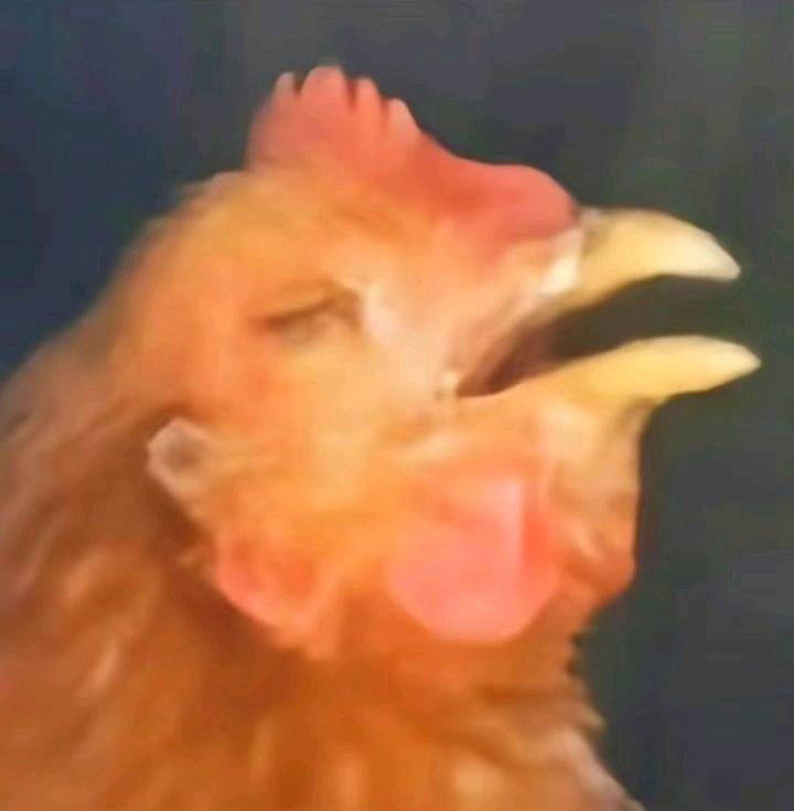 玩飞机杯会上瘾吗？解读一下关于飞机杯的那些事