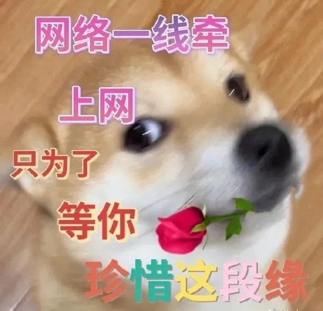 如何挑选飞机杯？从材质到价位全方面带你了解，刚入坑该买什么样的飞机杯
