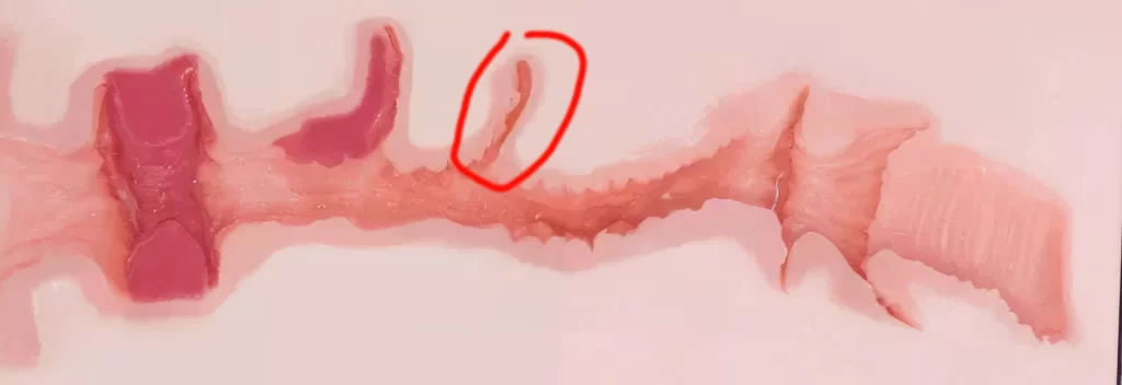 KAGUYANO水野莉莉测评！老二次元玩家最喜欢的一集，非常紧致的通道体验。