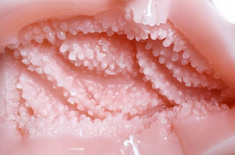 COOLP—性处理女仆soft测评！同为高质量的鱼子酱设计，慢玩体验谁更胜一筹？