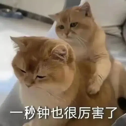 为什么第一次用飞机杯都快的像“赶火车”？