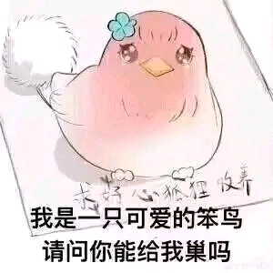 【杯姐测评】白丝壁女系列的差异对比