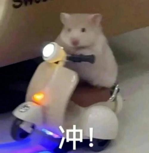 传统派or道具派？究竟那种方式清洗飞机杯最干净？