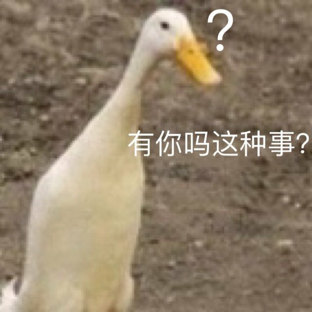 百万粉丝级别漫画家手下的本子联名款，《枫与铃》的体验如何呢？Evolution angel 见习天使—星月枫测评！