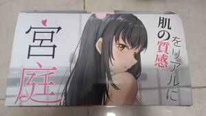 【群友测评】RQS—宫廷妄想，扁身式硬质小臀，体验意外的还可以