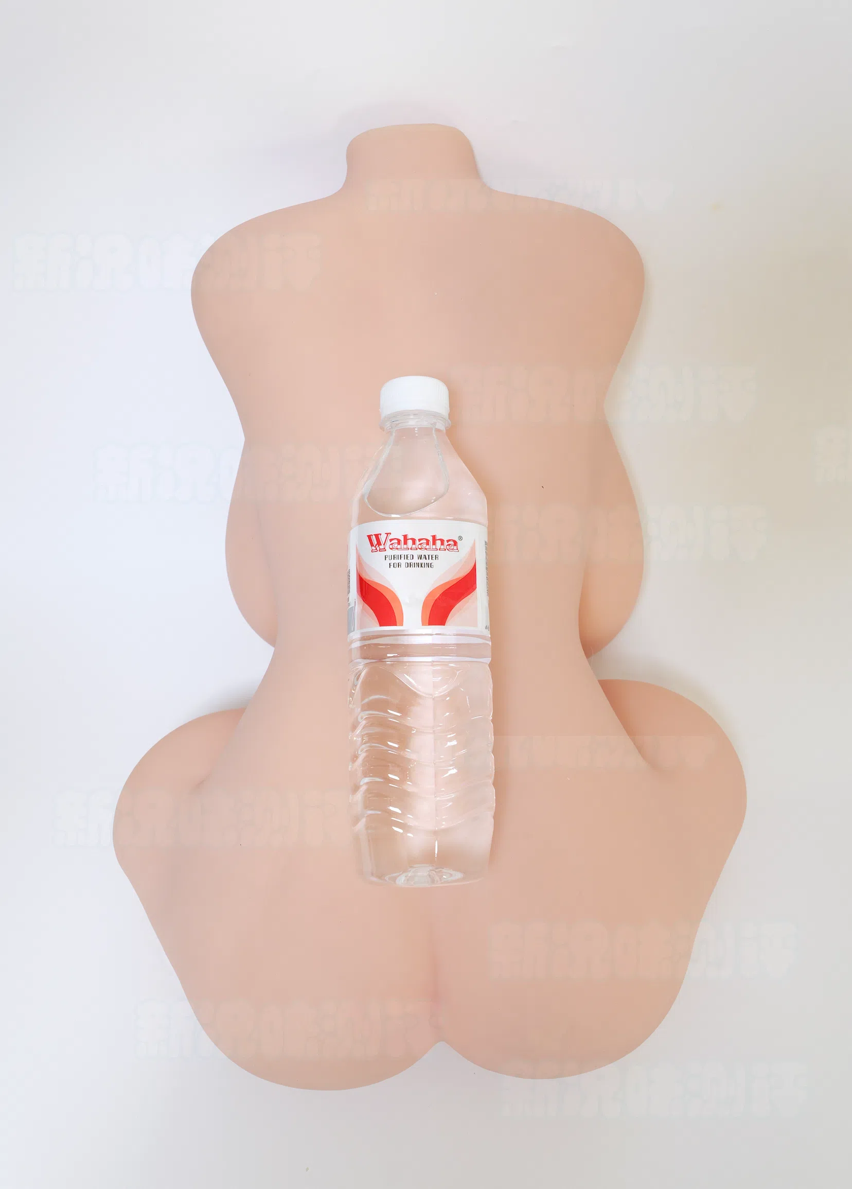 不仅一比一倒出外观，连体型也一比一还原了吗？很久不见的真人比例半身！Dream Edge——杏津杏测评。