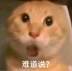 优秀的双子宫设计，出色的柔软度，要是前段的颗粒再大一点就好了，majomiyo—猫娘桑桑测评