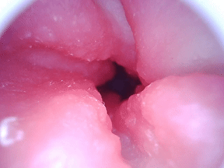 20260927105311584-后门.gif
